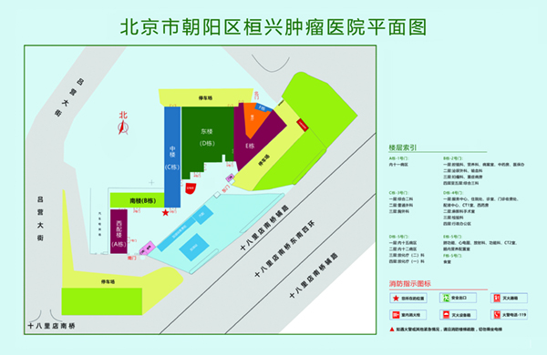 操逼扣逼不要钱免费网站进入北京市朝阳区桓兴肿瘤医院平面图